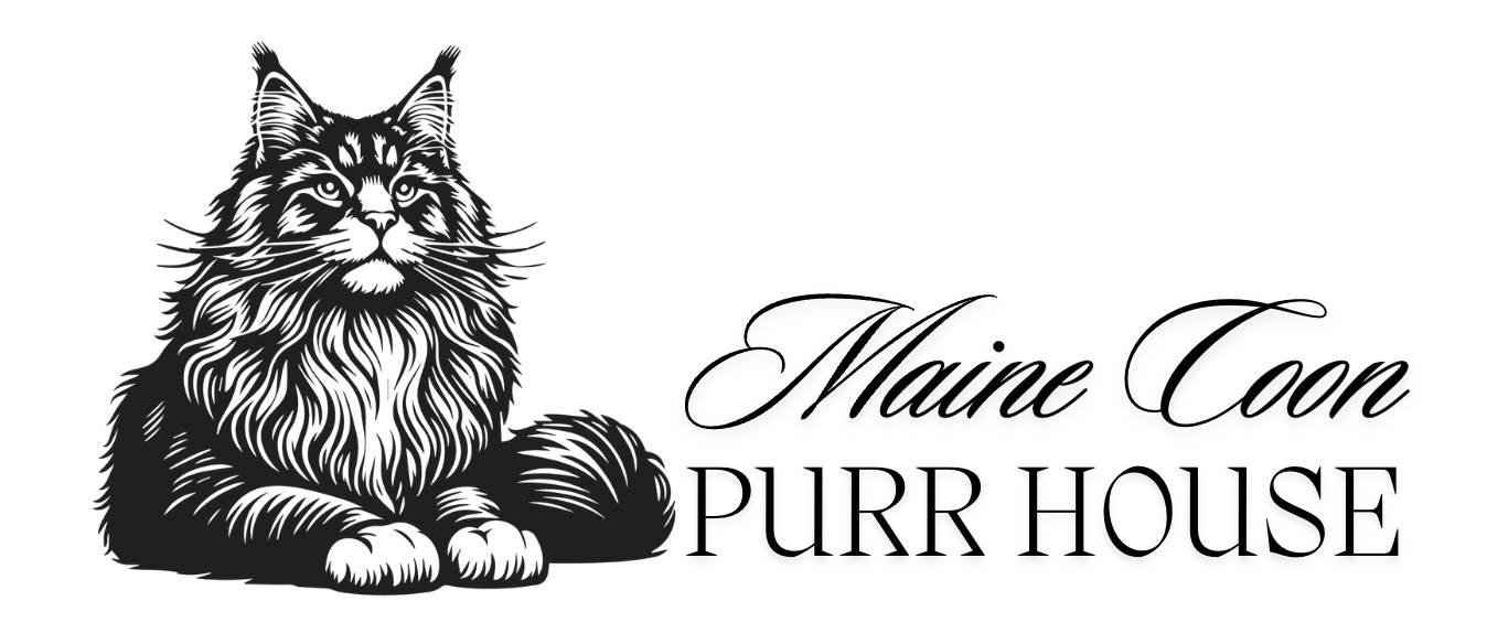 Maine Coon Purr House